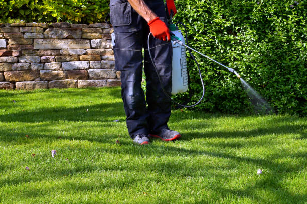 Lawn Pest Control in Centre Grove, NJ